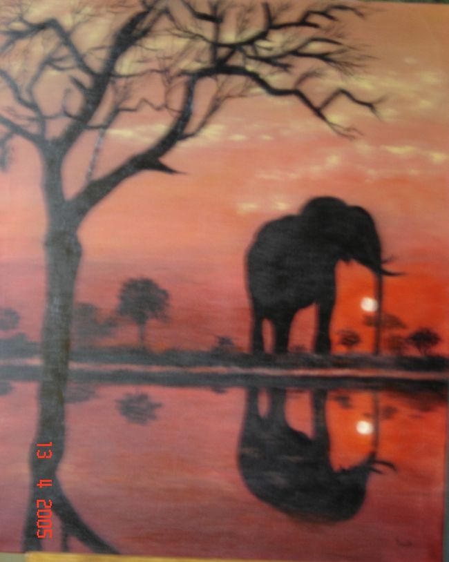 Elephant dans la savane.JPG